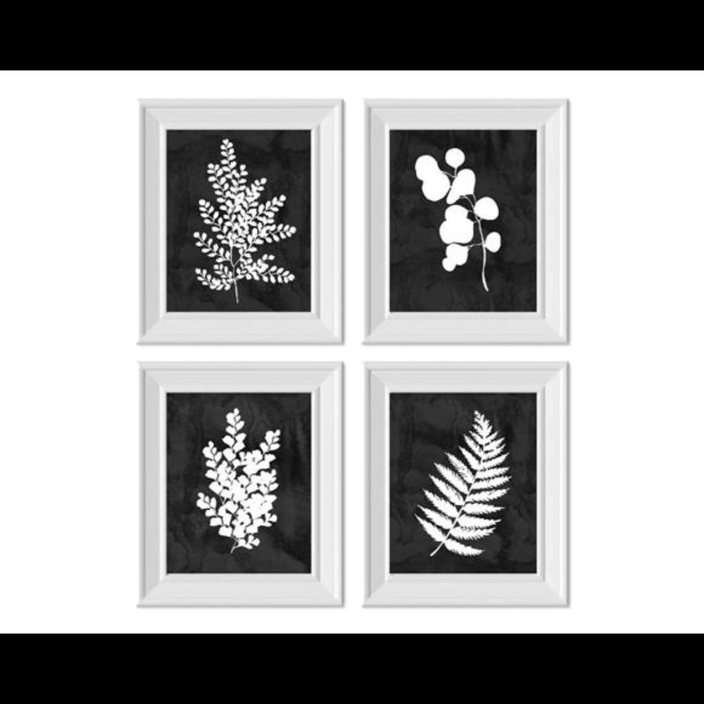 Fern Botanical Plant White on Black Art Set of 4 Unframed Prints